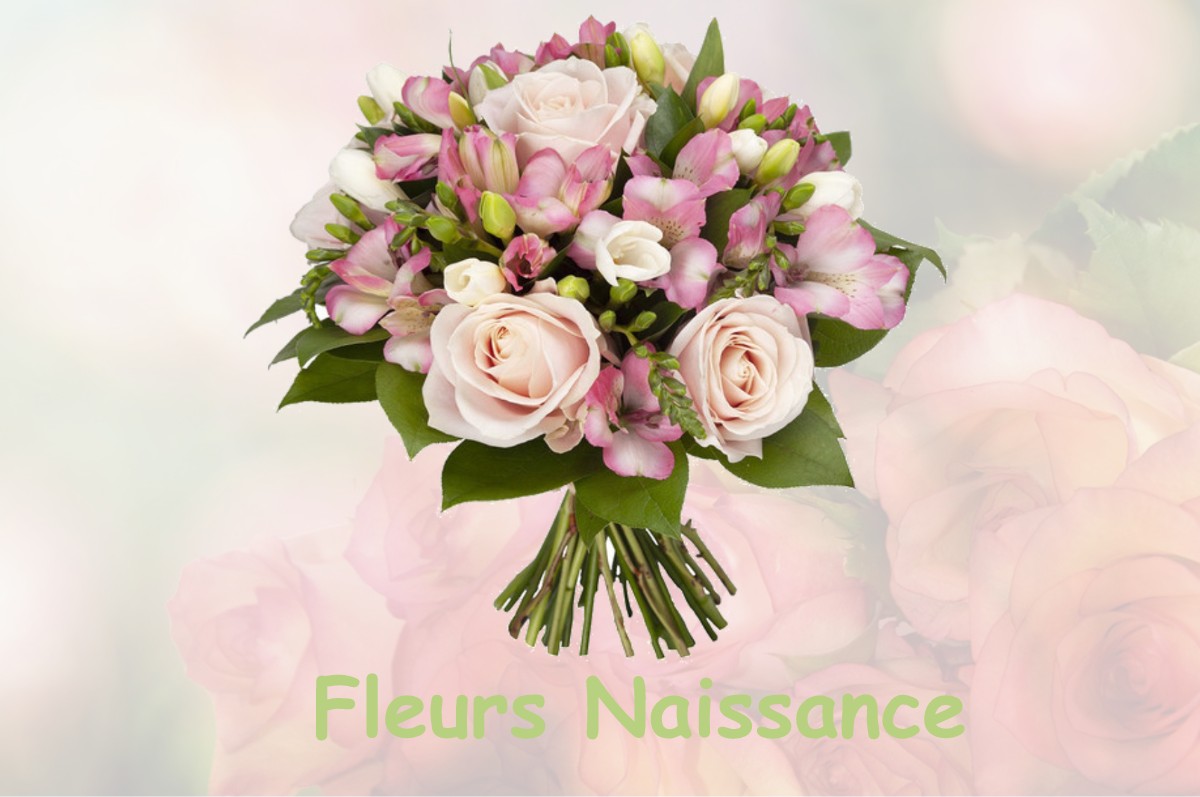 fleurs naissance QUINCAMPOIX-FLEUZY